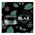 BLAX Evolution - Spearmint - Nicpack